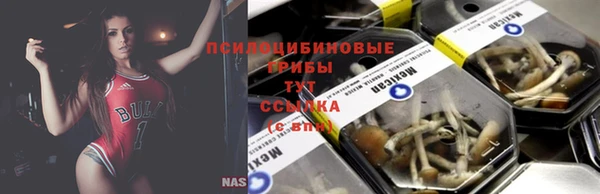 Альфа ПВП Михайловка