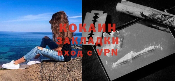 первитин Михайлов
